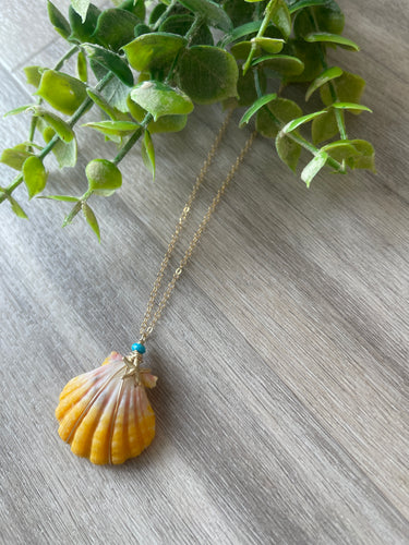 Sunrise Shell short necklace