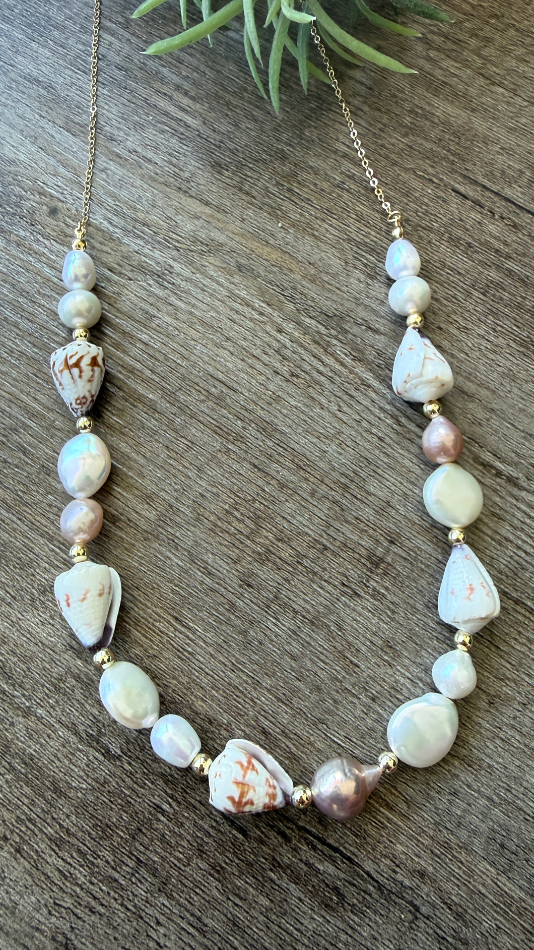 Cone Shell necklace