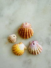 Sunrise Shells Pack A/B