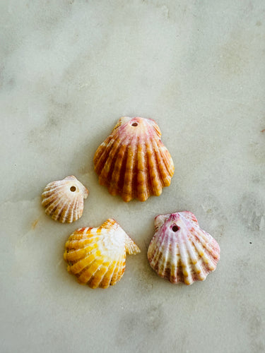 Sunrise Shells Pack A/B